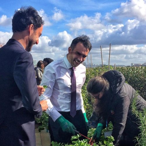 Atelier lancement du potager 1