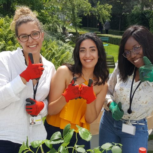 Atelier lancement du potager 4